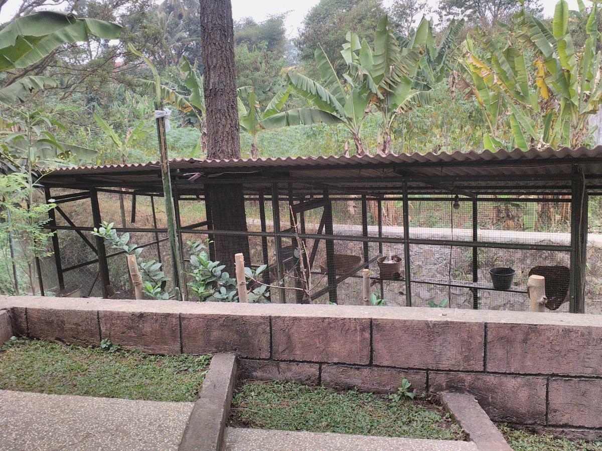 Nabila Syar'I Guest House Padalarang Exterior foto